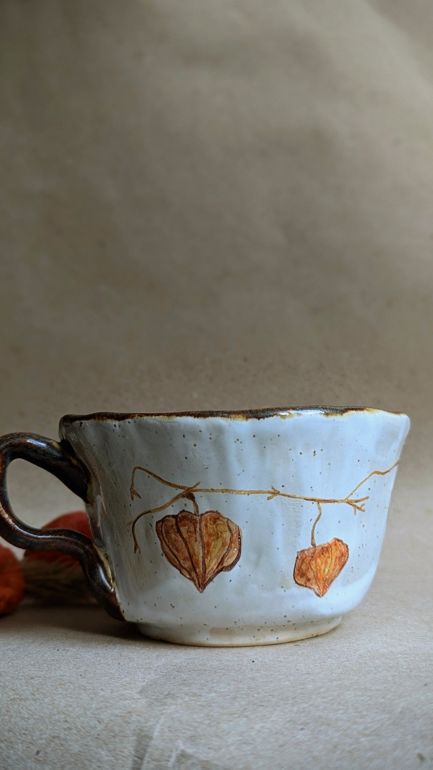 Handmade Mug with a Frog and Physalis