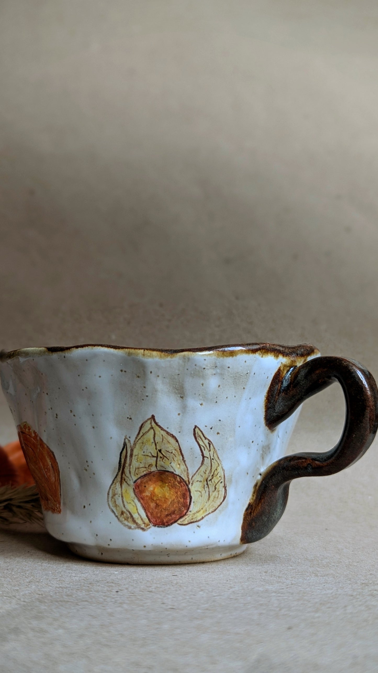 Handmade Mug with a Frog and Physalis