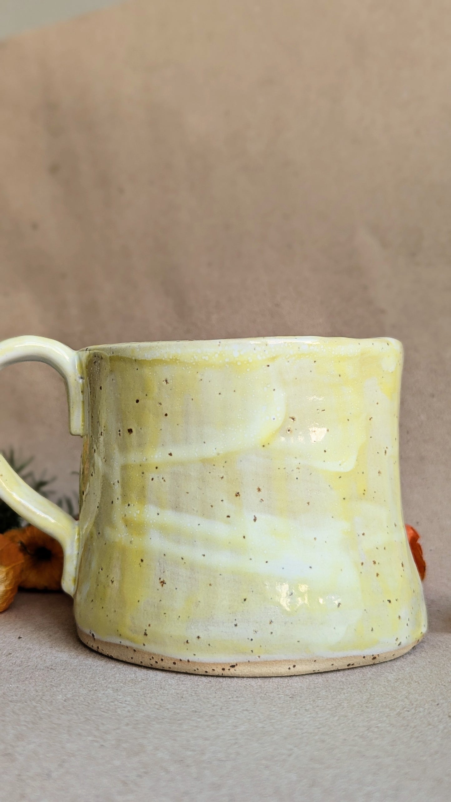 Handmade Mug with a Mother Goose and Gosling
